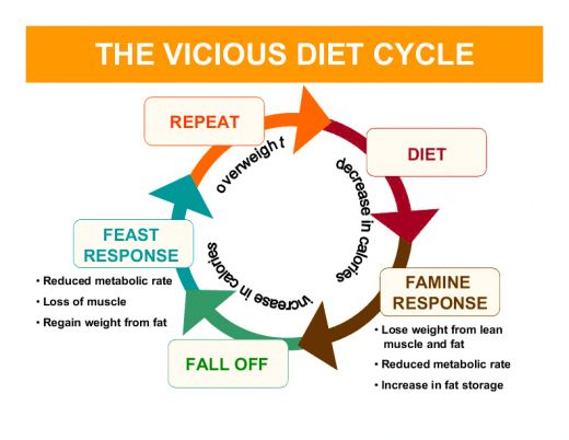 diets dieting yo why nutrition diet fad cycle yoyo eating weight reasons loss rich fat health plan makes metabolism healthy